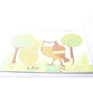 The Surprise Party, Paticia Hutchins, Picture Book, Softcover, ~ 250113-WH 62